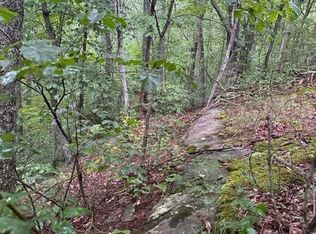 23 Wilson Ridge Rd, Wilder, TN 38589