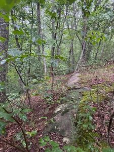 33 Wilson Ridge Rd, Wilder, TN, 38589
