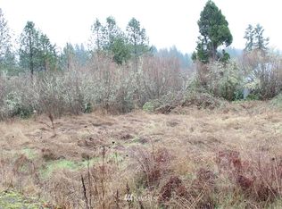 Pleasant Ave #PE, Pe Ell, WA 98572