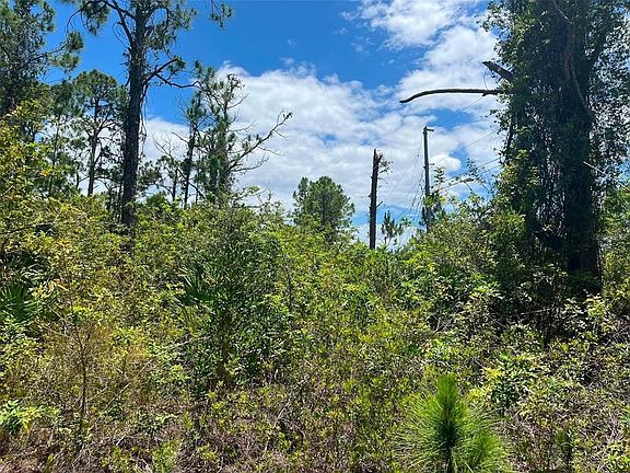 3rd image of 8448 Matecumbe Rd Lot 13871