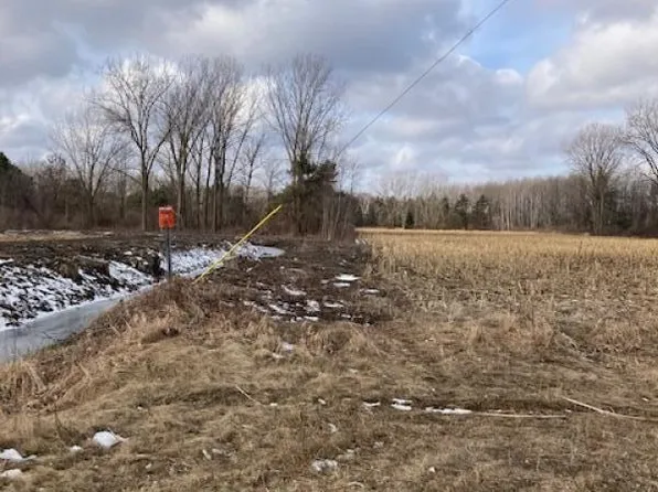 PARCEL Dodge Rd #A, Cass City, MI 48726