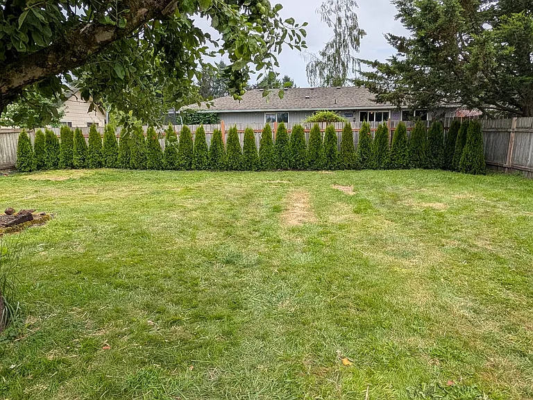 730 Myrtine St — Photo 4