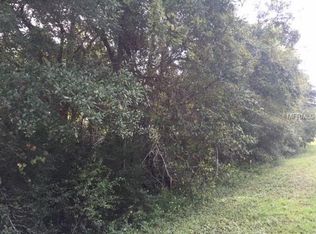 Starry St, Orlando, FL 32833