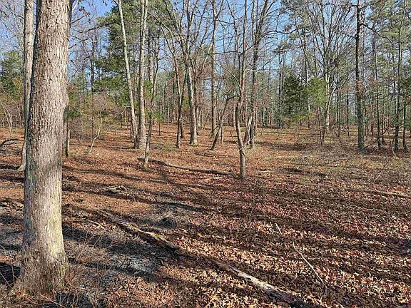 5th image of 0 Arrowhead Rd