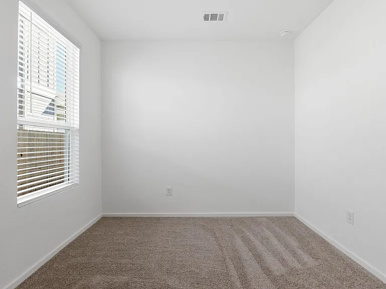 26391 Cedar Sedge Dr — Photo 26