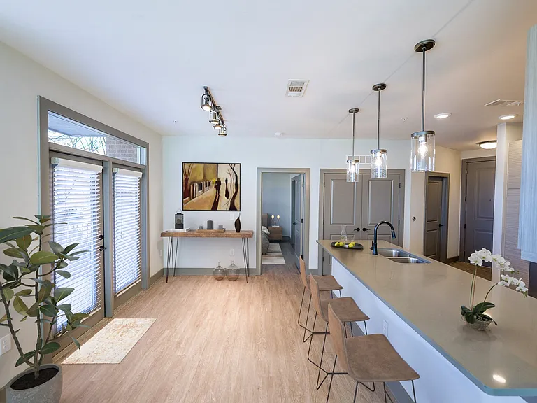 District at Duluth Apartments — Photo 2