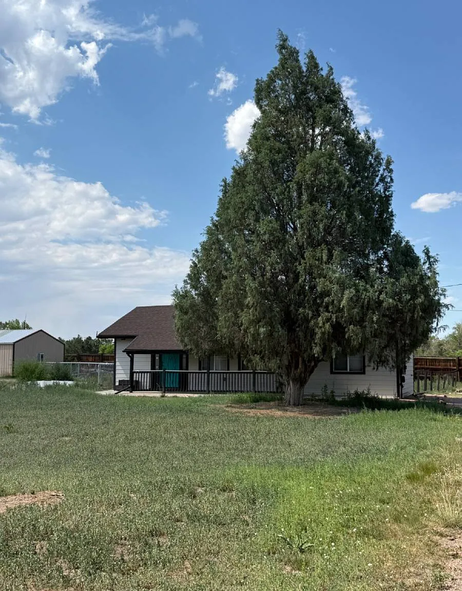 8001 W 101st Ave in Broomfield, CO 80021 — Photo 2
