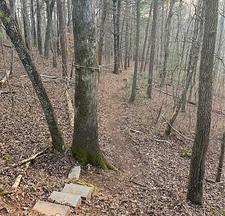 3rd image of 0 Shady Grove Church Rd