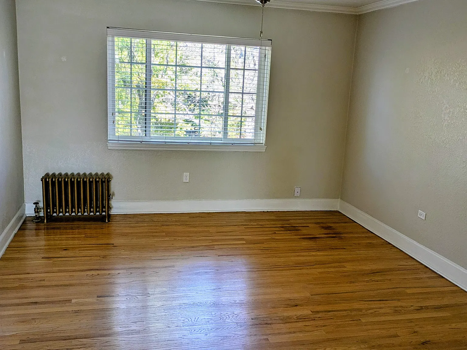 1 bed, 800 sqft, $1,695 — Photo 3