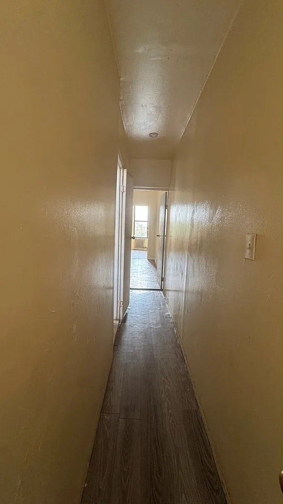 237 Cleveland Street — Photo 4