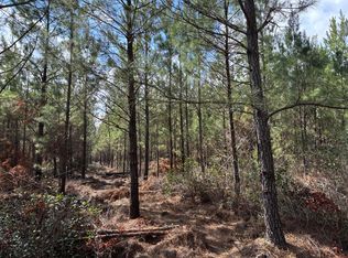 11 Red Oak Rd, Cottageville, SC 29435