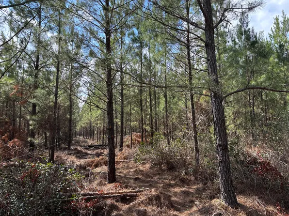 11 Red Oak Rd, Cottageville, SC 29435