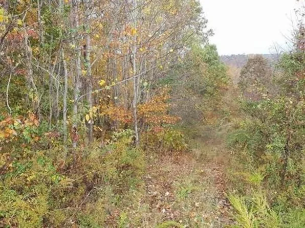 280 Pennington Holw, Olive Hill, KY 41164