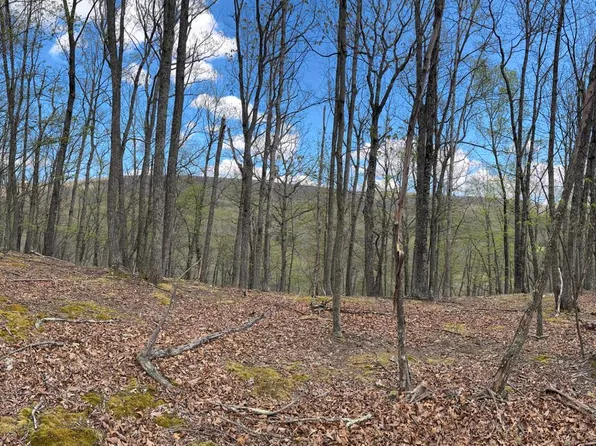5 Cove Crk, Baker, WV 26801
