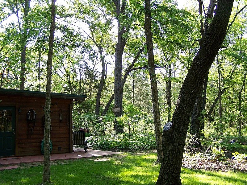 Back yard