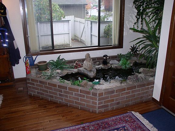 garden & koi pond