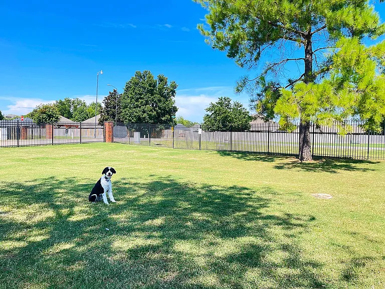Bark Park
