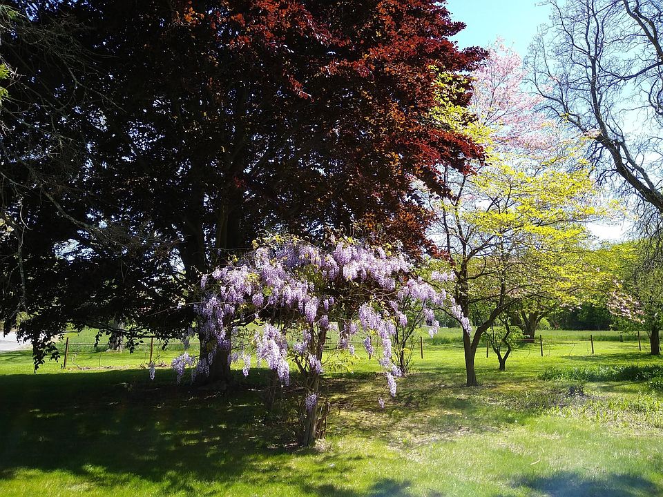 Nature Blooms all around
