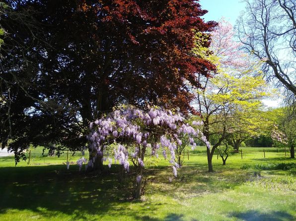 8 Abbott Run Valley Rd #1