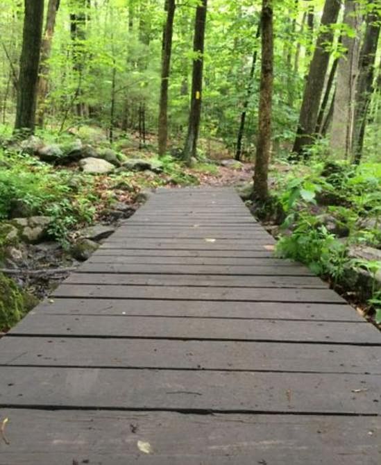 Spring Hill at Acton 421 Great Rd Acton MA Zillow