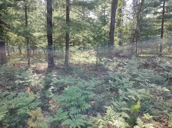 LOT 186 Winterset Dr Lot 186, Alger, MI 48610