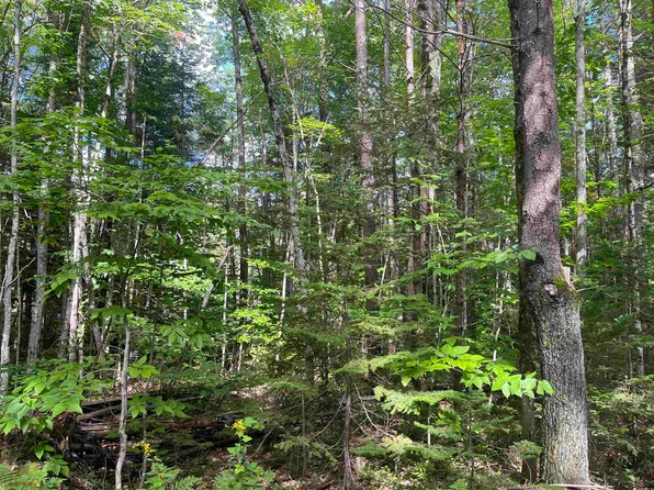 lot 1 Neal Hill Road, Tuftonboro, NH 03816