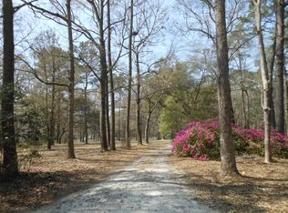 4233 Chisolm Rd, Johns Island, SC 29455