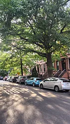 Rented by Brooklyn Rentals NYC