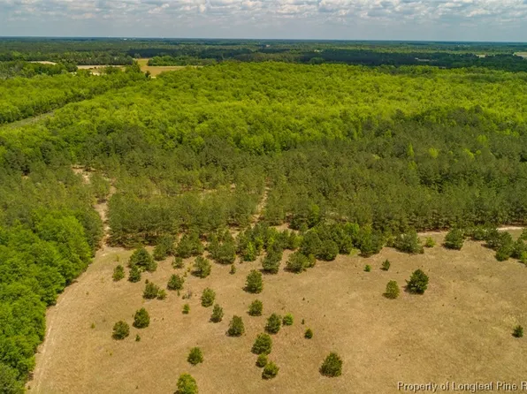 Blue Springs Rd, Red Springs, NC 28377