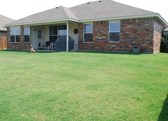 back yard