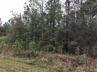 4408 Pine Tree Ln, Middleburg, FL 32068