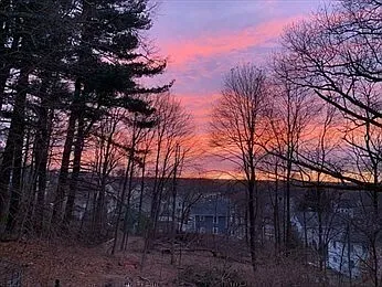 View from deck