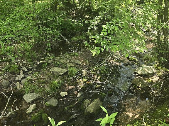 5th image of 0 Hwy 220 East