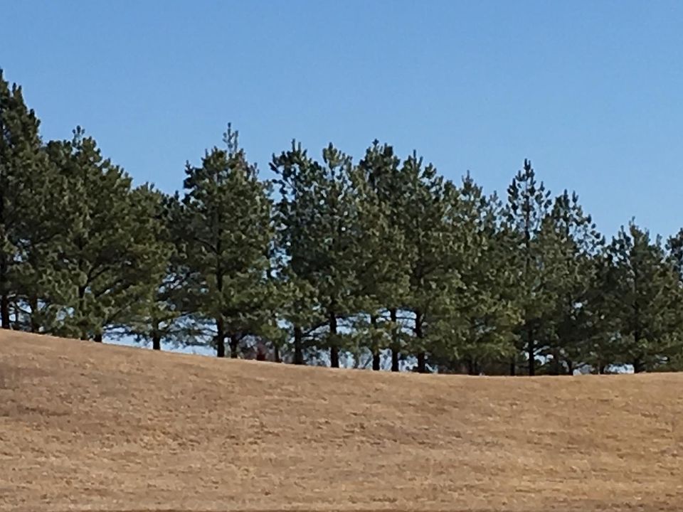 View from deck & house