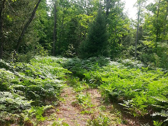 4th image of 40 Acres S. Basin Dr