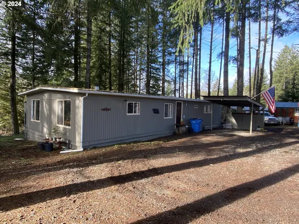 20307 NE Cedar Creek Rd, Amboy, WA 98601