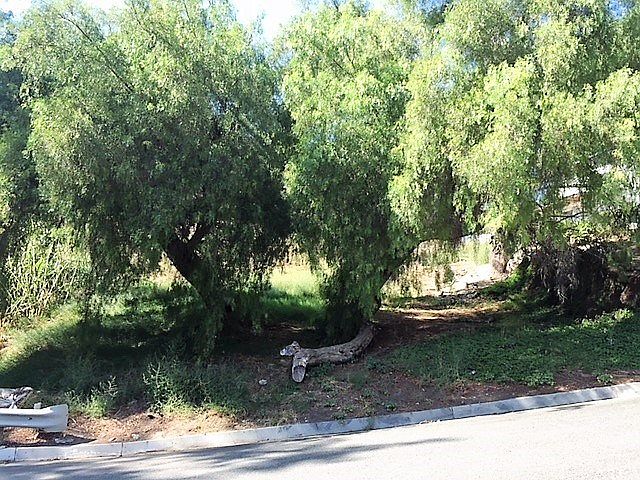 1st image of 515 Arcadia Dr