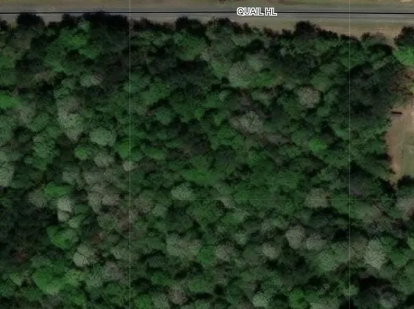 0 Quail Hill Rd, Brandon, MS 39042