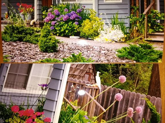 Lovely flowers around house
