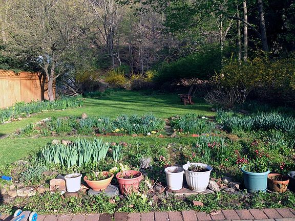 Shared yard