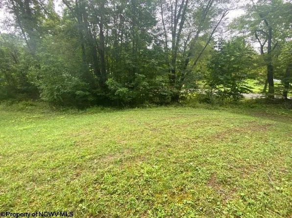 0 Route 20 South Rd, Rock Cave, WV 26234