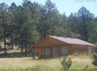 462 Obsidian Dr, Florissant, CO 80816