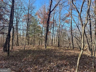 400 Mincey Acres Dr, Murrayville, GA, 30564