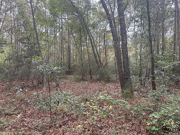 3rd image of 1281-0 Jack And Johnny Rd SW