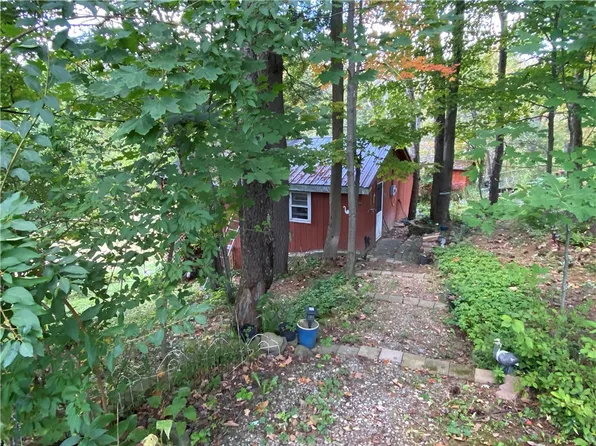 11035 Schwingle Rd, Prattsburgh, NY 14873
