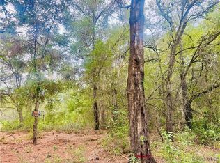 2203 Adams St, Inverness, FL 34453