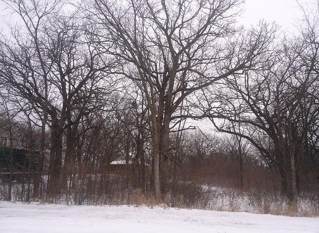 2nd image of 9046 Ogden Ave NE