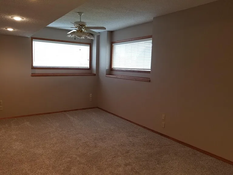 Downstairs Den