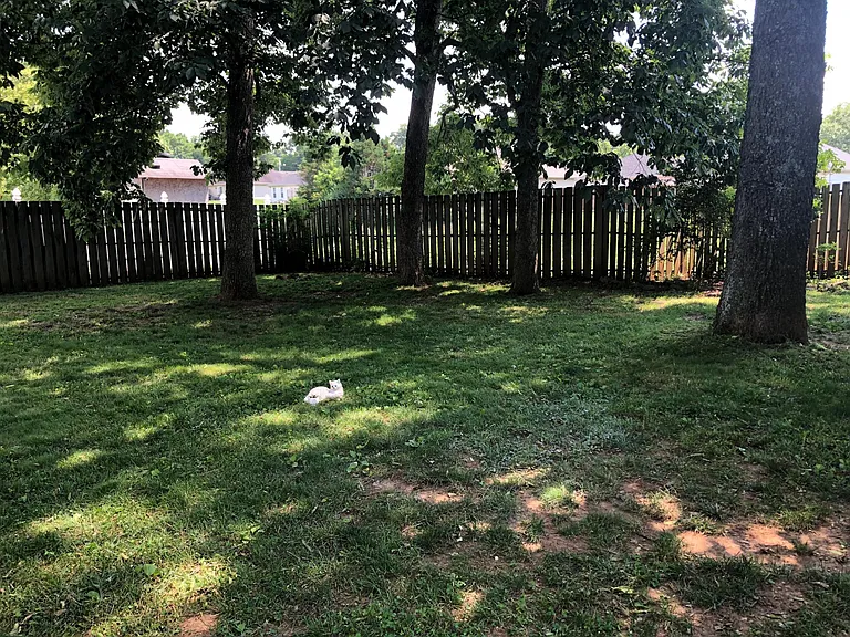 103 Old Mill Dr — Photo 37