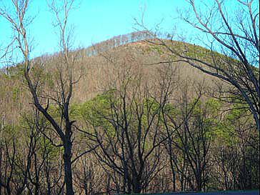 2nd image of 150 Black Bear Ln #5.07